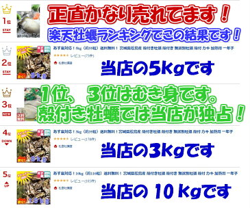 あす楽対応!牡蠣 5kg(約67粒)送料無料!宮城県産 殻付き 牡蠣 殻付き 無選別牡蠣 牡蠣 殻付 カキ 加熱用 一年子 松島牡蠣屋 お花見にGWBBQに父の日母の日バーベキューに