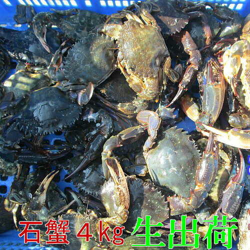 【ふるさと納税】ボイル毛がに（浜茹で急速冷凍）2尾入（2尾で1.2kg～1.4kg） 北海道 釧路 ふるさと納税 蟹 かに 魚介類 海産物 F4F-0448