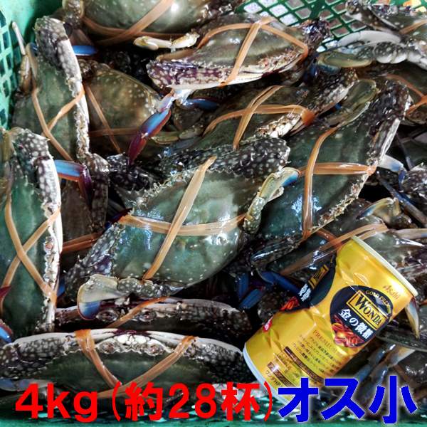 活発送 4kg（約28杯）ワタリガニ オス小サイズ 渡り蟹 ガザミ 梭子蟹 ケジャンにも！送料無料 カンナ屑梱包 活到着補償販売ではございません がざみ 蟹通販 宮城県産 「ガザミ　オス小4kg」【100】