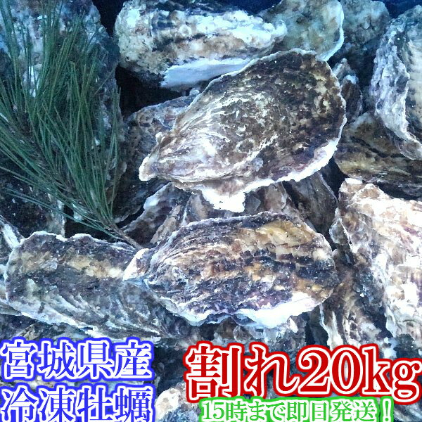 【食べて応援 フードロス削減】割れB品20kg 【約240粒】 冷凍便送料無料 20キロ 宮城県産 殻付き牡蠣 殻付き 殻付 カキ 加熱用 一年子 松島牡蠣屋 無選別牡蠣　訳あり BBQ 母の日 父の日 ギフト 食べ物 お中元 お歳暮 SDGs バーベキュー食材 海産物