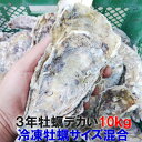 【母の日対応可能】デカい牡蠣 殻付き 牡蠣「3年牡蠣 10kg」 冷凍便 送料無料!10キロ 宮城県産 殻付き牡蠣 殻付き 殻付 カキ 加熱用 松島牡蠣屋 牡蛎...
