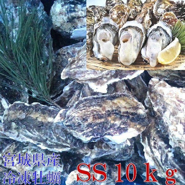 SSサイズ10kg（約200粒）牡蠣 殻付き 牡蠣 あす楽対応！10キロ 冷凍便 宮城県産 殻付き牡蠣 殻付き 殻付 カキ 加熱用 松島牡蠣屋 無選別牡蠣 牡蛎 BBQ 海産物 「牡蠣 SS10kg」