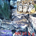SSサイズ10kg（約200粒）牡蠣 殻付き 牡蠣 あす楽対応！10キロ 冷凍便 宮城県産 殻付き牡蠣 殻付き 殻付 カキ 加熱用…