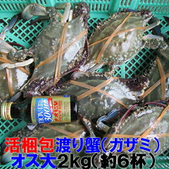 https://thumbnail.image.rakuten.co.jp/@0_mall/matsushimakakiya/cabinet/04355508/wata/gazami_dai2kg.jpg