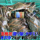 ワタリガニ オス中サイズ2kg（約9杯） 渡り蟹 ガザミ 梭子蟹 ケジャンにも！ 送料無料 がざみ 蟹通販 宮城県産 活状態で梱包ですが活到着補償ではございません「ガザミ オス中2kg」