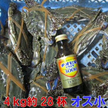 期間限定10%OFF中★宮城県産 ワタリガニ オス小サイズ 渡り蟹 ガザミ 梭子蟹 ケジャンにも!活発送 4kg(約28杯)送料無料