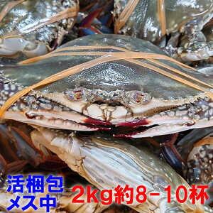 【時期初め内子確率高めです】ワタリガニ メス中サイズ2kgで8-10杯くらいです。 渡り蟹 ガザミ 梭子蟹 ケジャンにも！活発送 宮城県産 送料無料 「ガザミ　メス中2kg」【80】