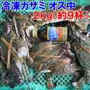 冷凍 ワタリガニ オス中サイズ2kg（約9杯） 渡り蟹 ガザミ 梭子蟹 ケジャンにも！ 送料無料 が ...