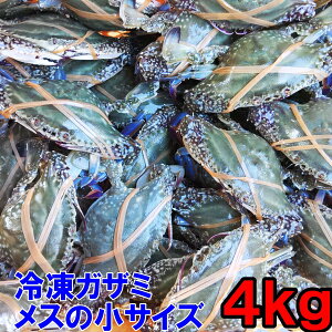 ワタリガニ メス小サイズ 渡り蟹 ガザミ 梭子蟹 ケジャンにも！ 冷凍発送4kg（2kg×2箱）（約24杯）お歳暮対応可 送料無料 がざみ 蟹通販 宮城県産 活状態から冷凍品「ガザミ 冷凍品 メス小4kg」【80】