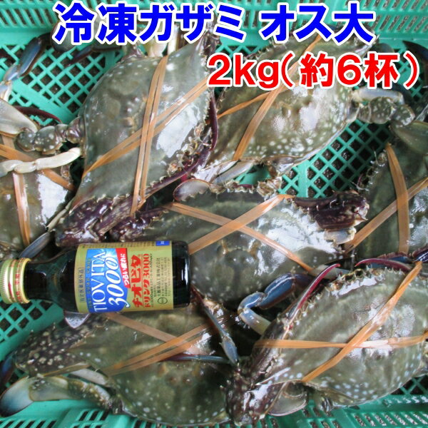 冷凍 ワタリガニ オス大サイズ2kg（約6杯） 渡り蟹 ガザミ 梭子蟹 ケジャンにも！ 送料無料 がざみ 蟹通販 宮城県産 「冷凍 ガザミ オス大2kg」【100】