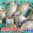 カンナ屑梱包 ワタリガニ オス大活発送 4kg(約12杯) 渡り蟹 ガザミ 梭子蟹 ケジャンにも!送料無料 活到着補償販売ではございません がざみ 蟹通販 宮城...