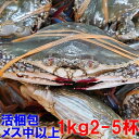 【10%オフクーポン&最大100%Pバック】活梱包発送ワタリガニ メス中〜特大1kgで2〜5杯 渡り蟹 ガザミ 梭子蟹 ケジャンにも! 宮城県産 生蟹 生カニ 活カニ 活蟹 松島牡蠣屋 梭子蟹 雌 梭子蟹 花蟹 三点蟹 꽃게 cua biển xanh 간장게장 カンジャンケジャン
