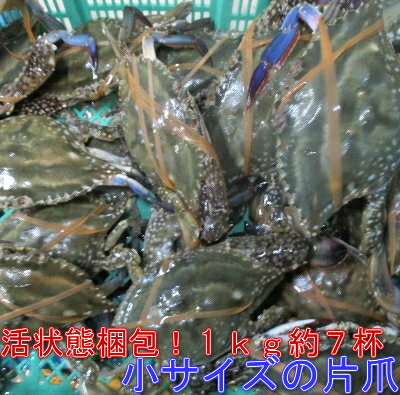 ワタリガニ オスメス混合片爪 爪なし小サイズ2kg 渡り蟹 ガザミ 梭子蟹 ケジャンにも！ 活発送（ ...