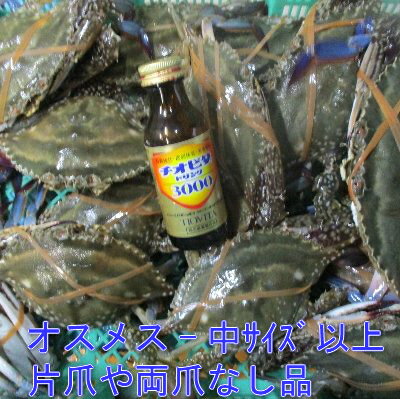 宮城県産 ワタリガニ オスメス混合中〜特大サイズ混合 2kg 渡り蟹 ガザミ 梭子蟹 ケジャンにも！活発送送料無料　片爪「ガザミ　片爪中以上2kg」【80】