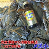 【時期初め内子確率高めです】宮城県産 ワタリガニ メス小サイズ 渡り蟹 ガザミ 梭...