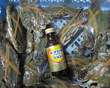 期間限定10%OFF中★宮城県産 ワタリガニ オス小サイズ 渡り蟹 ガザミ 梭子蟹 ケジャンにも!活発送 4kg(約28杯)送料無料