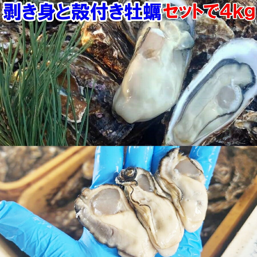 牡蠣 殻付き 牡蛎 牡蠣 殻付「生食用 剥き身1kg 殻付き 牡蠣 3kg」で合わせて4kg むき身 松島牡蠣屋 kaki （剥き身は500gが2本です）