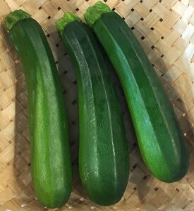 ズッキーニ 高知産【野菜セット同梱で送料無料】