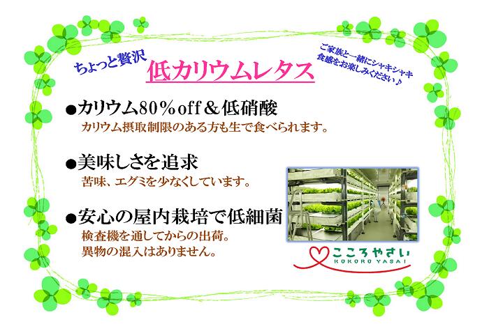 低カリウムレタス 三重県伊賀産【野菜セット同梱で送料無料】 3