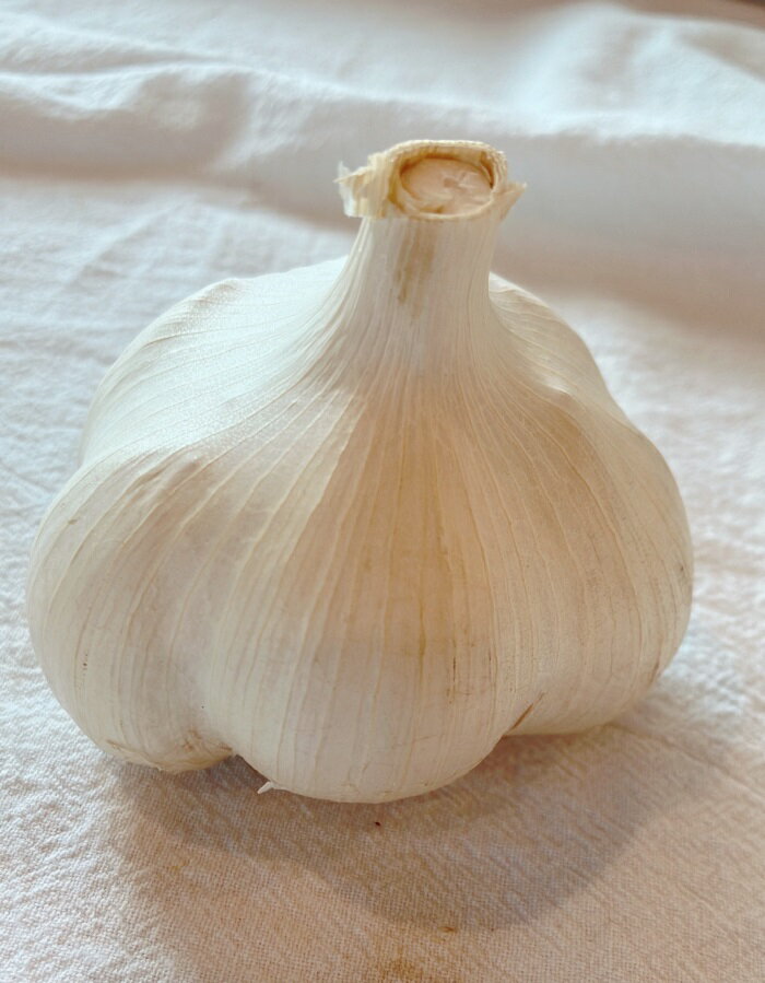 にんにく 青森産【野菜セット同梱で送料無料】