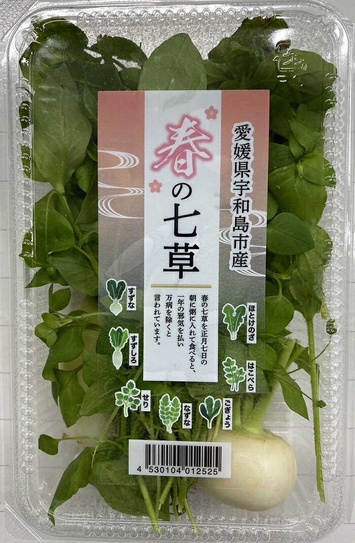 七草セット　愛媛県宇和島産【野菜セット同梱で送料無料】