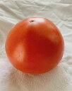 トマト 北海道・岐阜産【野菜セット同梱で送料無料】