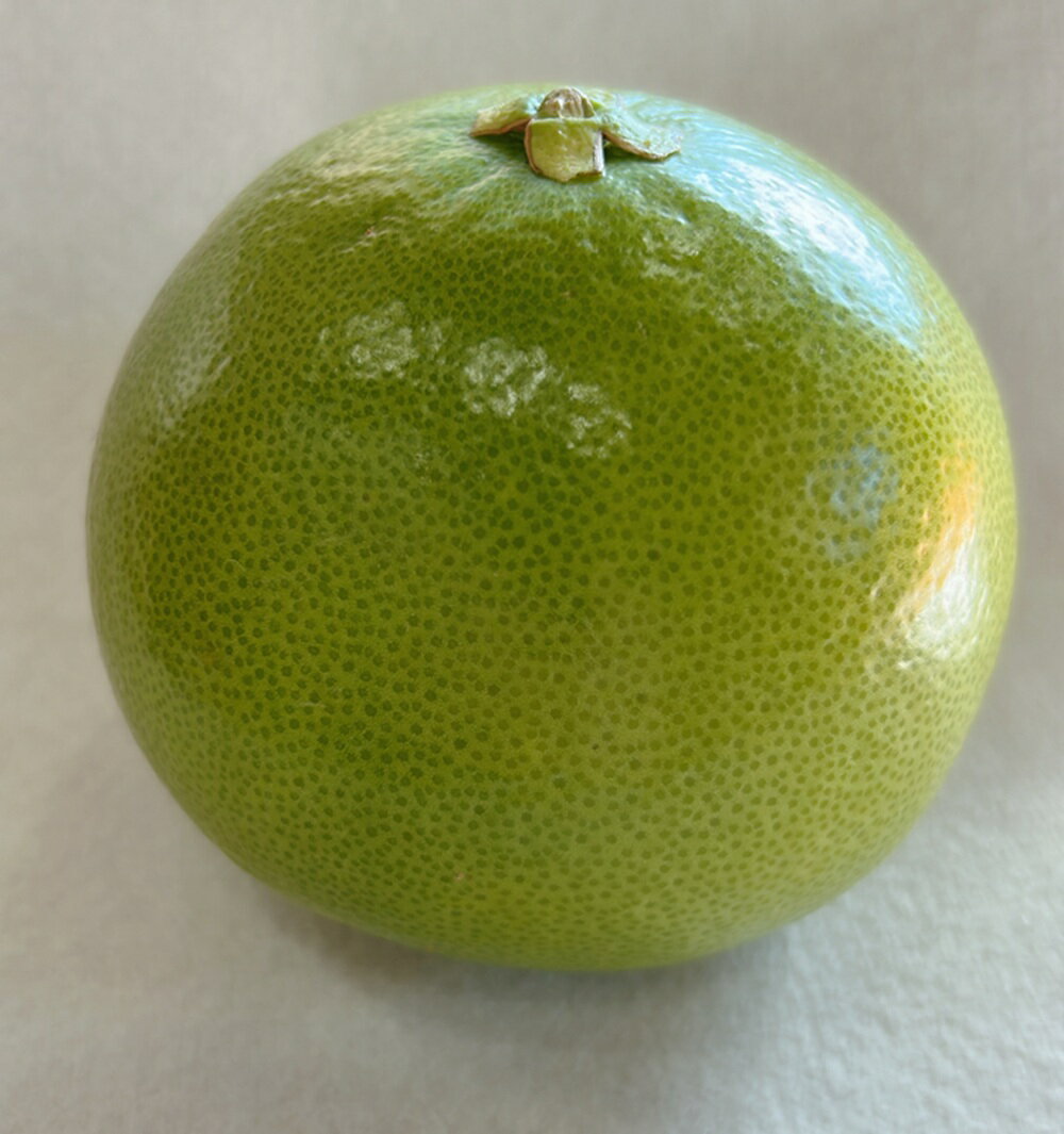 メロゴールド カリフォルニア産【野菜セット同梱で送料無料】