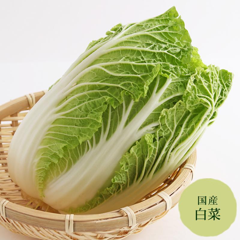 白菜 長崎、鹿児島産等【野菜セット同梱で送料無料】