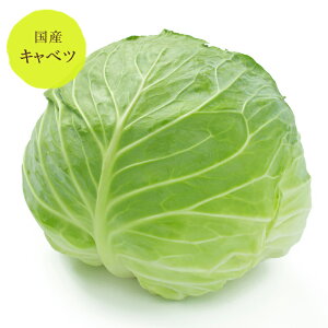 キャベツ 群馬・長野産【野菜セット同梱で送料無料】