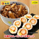 松屋牛めし・ヒレカツ太巻セット 計12袋 【送料無料】 時短 保存食 お取り寄せ お惣菜おかず セット 時短 食品 保存食 お取り寄せ お惣菜おかず セット お取り寄せ お惣菜 冷凍 冷凍食品 牛丼 肉 業務用 惣菜 お弁当 絶品 お試し 仕送り 食事 レンチンご飯 食べ物