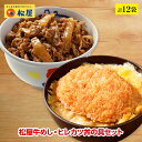 【松のや監修】 松屋 ヒレカツ丼の具2個とプレミアム牛めしの具10個セット トンカツ専門店監修 冷凍食品 冷凍 おかず セット 冷食 お惣菜 牛丼 肉 業務用 惣菜 お弁当 絶品 お試し お取り寄せグルメ ポイント消化 一人暮らし