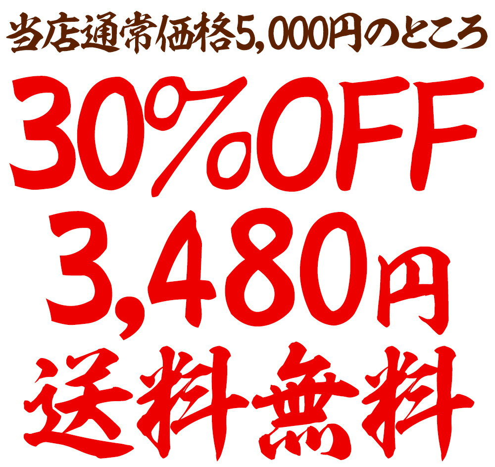 サンプル画像2