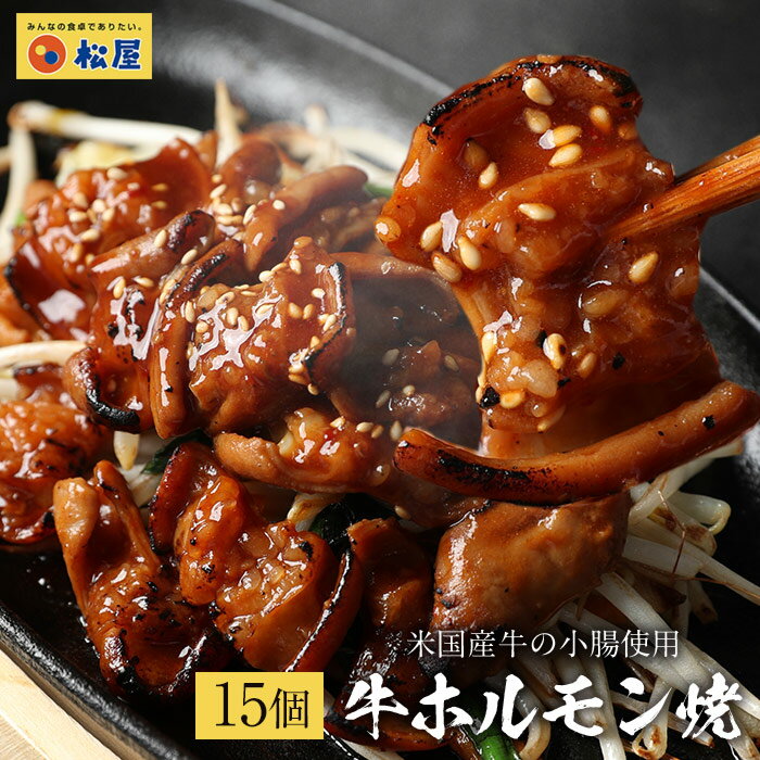 【メーカー希望小売価格10500円→4980円】 松屋 牛ホルモン焼き15個セット　通販限定発売冷凍 ...