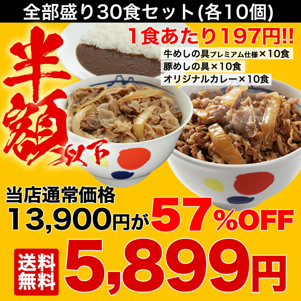 【期間限定13,900円rarr;5,899円!】全部盛り30個(プレミアム仕様牛めしの具times;10豚めしの具times;10オリジナルカレーtimes;10)冷凍食品冷凍おかずセット冷食お惣菜牛丼肉業務用惣菜お弁当絶品お取り寄せお取り寄せグルメ送料無料仕送り