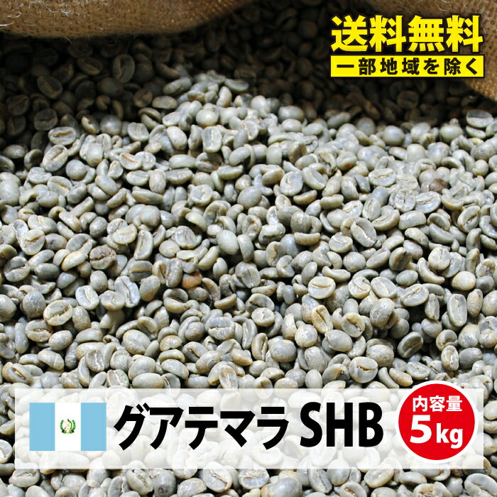 コーヒー 生豆 グァテマラ 珈琲 豆 未焙煎 5kgグアテマラ SHB(Guatemala SHB)