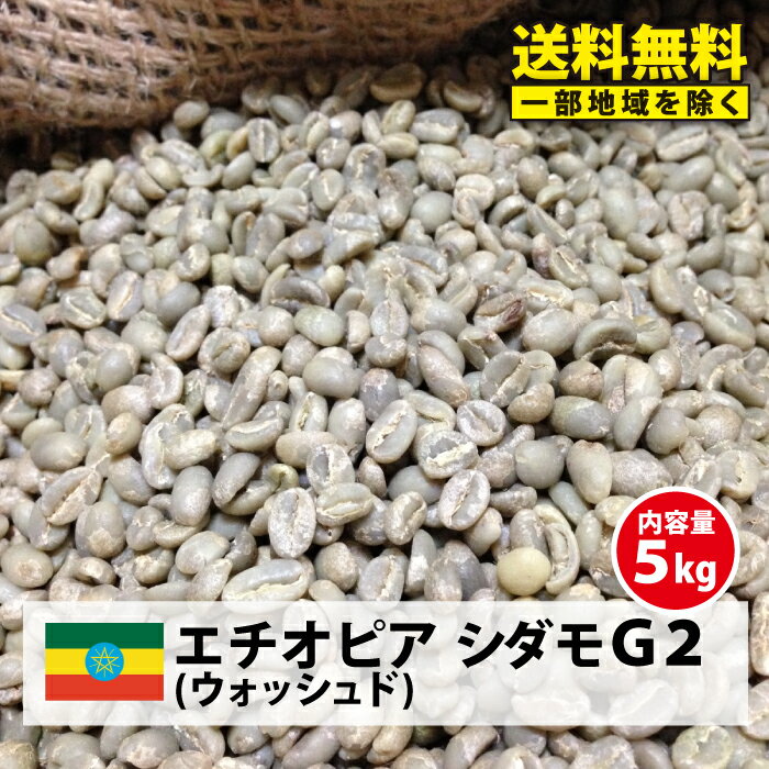 コーヒー 生豆 モカ 珈琲 豆 未焙煎 5kgエチオピア シダモG2(Ethiopia Sidamo G2)