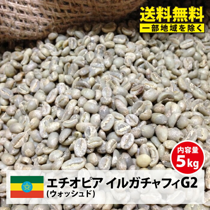 コーヒー 生豆 モカ 珈琲 豆 未焙煎 5kgエチオピア イルガチャフィ G2(Ethiopia Yirgacheffe G2)