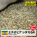 【送料無料(一部地域を除く）】コーヒー 生豆 モカ 珈琲 豆 未焙煎 5kgエチオピア シダモG4(Ethiopia Sidamo G4)