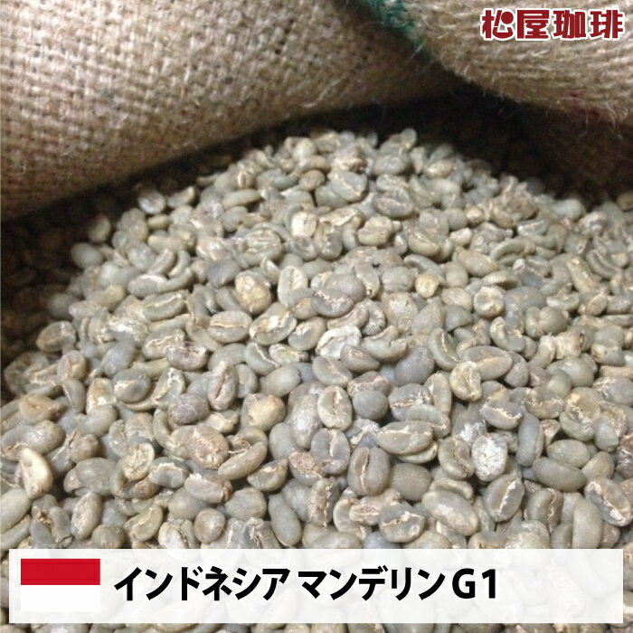 【送料無料(一部地域を除く）】コーヒー 生豆 珈琲 豆 未焙煎 20kgインドネシア マンデリンG1(Indonesia Mandheling G1)