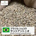 コーヒー 生豆 珈琲 豆 未焙煎 1kg　ブラジル ショコラ　サントアントニオ（Brazil Chocola SantoAntonio）