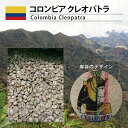 コーヒー 生豆 コロンビア 珈琲 豆 未焙煎 1kg　コロンビア　クレオパトラ(Colombia Cleopatra)