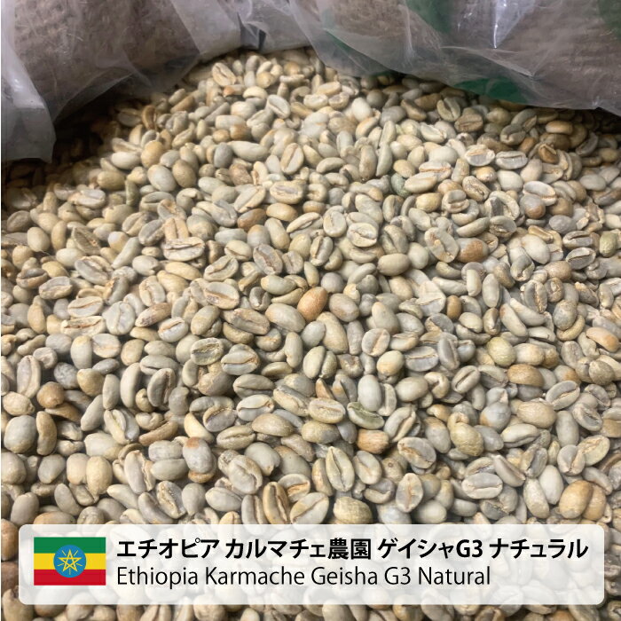 【送料無料】コーヒー 生豆 珈琲 豆 未焙煎 10kg エチオピア カルマチェ農園 ゲイシャG3 ナチュラル (Ethiopia Karmache Geisha G3 Natural)