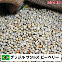 コーヒー 生豆 珈琲 豆 未焙煎 ブラジル サントス ピーベリー (Brazil Santos PeaBerry)