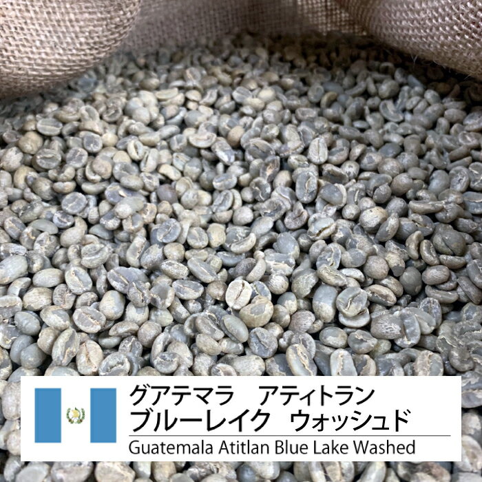 コーヒー 生豆 珈琲 豆 未焙煎 1kg グアテマラ アティトラン ブルーレイク ウォッシュド（ Guatemala Atitlan Blue Lake Washed )