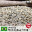 コーヒー 生豆 珈琲 豆 未焙煎 1kgブラジル サントス No.2 17/18(Brazil Santos No.2 17/18)