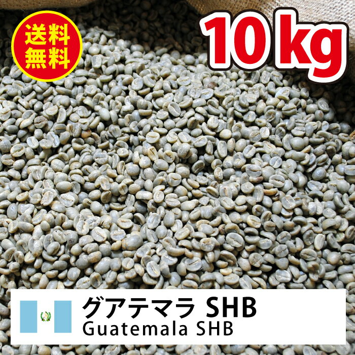 コーヒー 生豆 グァテマラ 珈琲 豆 未焙煎 10kgグアテマラ SHB(Guatemala SHB)