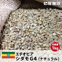 コーヒー 生豆 モカ 珈琲 豆 未焙煎 1kg　エチオピア シダモG4 　(Ethiopia Sidamo G4)