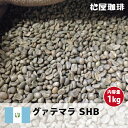 コーヒー 生豆 グァテマラ 珈琲 豆 未焙煎 1kg グアテマラ SHB(Guatemala SHB)