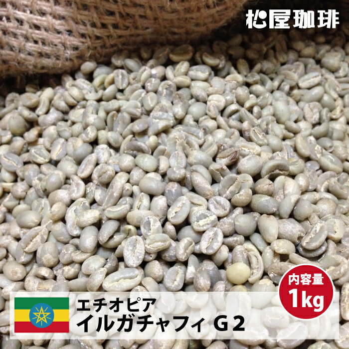 コーヒー 生豆 モカ 珈琲 豆 未焙煎 1kg エチオピア イルガチャフィ G2 (Ethiopia Yirgacheffe G2)