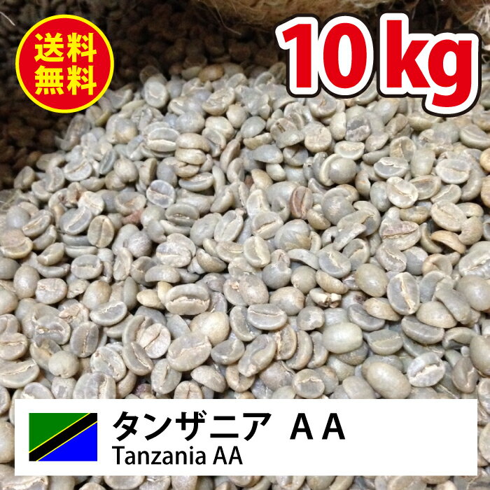 コーヒー 生豆 キリマン 珈琲 豆 未焙煎 10kgタンザニアAA(Tanzania AA)